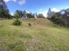 Terrain à vendre à Medellin, Antioquia, Medellin