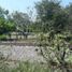  Land for sale in Paso De Ovejas, Veracruz, Paso De Ovejas