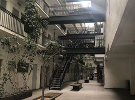 3 Habitación Apartamento en alquiler en Miguel Hidalgo, Ciudad de México, Miguel Hidalgo, Ciudad de México