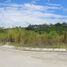  Land for sale in Mandaue City, Cebu, Mandaue City