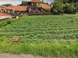  Land for sale in Ciampea, Bogor, Ciampea