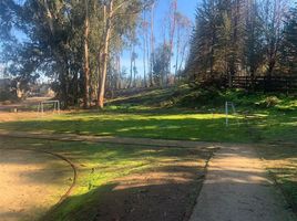  Terreno (Parcela) en venta en Chile, Quintero, Valparaíso, Valparaíso, Chile