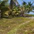  Grundstück zu verkaufen in Othon P Blanco, Quintana Roo, Othon P Blanco