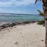  Grundstück zu verkaufen in Othon P Blanco, Quintana Roo, Othon P Blanco