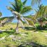  Grundstück zu verkaufen in Othon P Blanco, Quintana Roo, Othon P Blanco