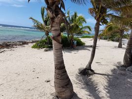  Grundstück zu verkaufen in Othon P Blanco, Quintana Roo, Othon P Blanco