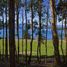  Land for sale in Cautin Araucania, Villarrica, Cautin