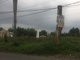  Terrain for sale in Giri, Banyuwangi, Giri