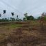  Land for sale in Mungkid, Magelang, Mungkid