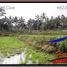  Terrain for sale in Tegallalang Rice Terrace, Tegallalang, Tegallalang