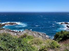 Land for sale in Chile, Puchuncavi, Valparaiso, Valparaiso, Chile