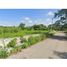  Land for sale in Motul, Yucatan, Motul