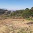  Land for sale in Ixtapan Del Oro, Mexico, Ixtapan Del Oro