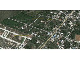  Terreno (Parcela) en venta en Yaxkukul, Yucatán, Yaxkukul