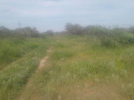  Grundstück zu verkaufen in San Luis Potosi, San Luis Potosi, San Luis Potosi, San Luis Potosi