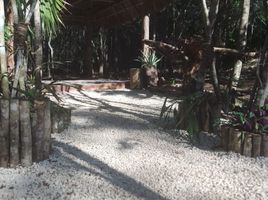 Terrain à vendre à Puerto Morelos, Quintana Roo, Puerto Morelos