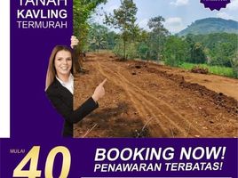  Tanah for sale in Malang Regency, East Jawa, Sukun, Malang Regency