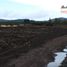  Land for sale in Nuble, San Nicolas, Punilla, Nuble