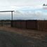  Land for sale in Nuble, San Nicolas, Punilla, Nuble