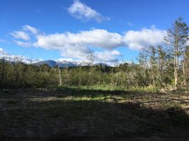  Terreno (Parcela) en venta en Neuquen, Los Lagos, Neuquen