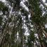  Terreno (Parcela) en venta en Chile, Puerto Varas, Llanquihue, Los Lagos, Chile