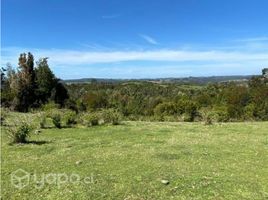  Terreno (Parcela) en venta en Llanquihue, Los Lagos, Los Muermos, Llanquihue