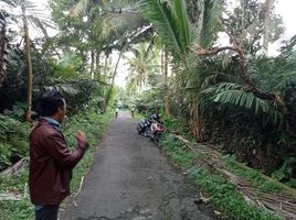  Land for sale in Yogyakarta, Seyegan, Sleman, Yogyakarta