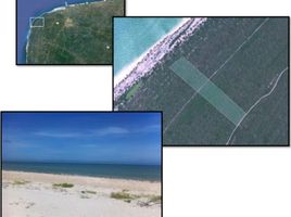  Land for sale in Celestun, Yucatan, Celestun