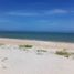  Land for sale in Celestun, Yucatan, Celestun