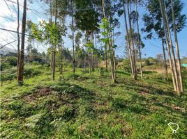 Terrain à vendre à Rionegro, Antioquia, Rionegro