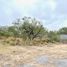  Land for sale in Salinas Victoria, Nuevo Leon, Salinas Victoria