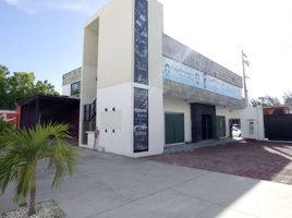0 平米 Office for rent in Campeche, Carmen, Campeche