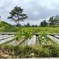  Terreno (Parcela) en venta en Seyegan, Yogyakarta, Seyegan
