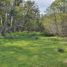  Terreno (Parcela) en venta en Chile, Coihaique, Coihaique, Aisén del General Carlos Ibáñez del Campo, Chile