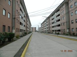 3 Bedroom Apartment for sale in Chile, Curico, Curico, Maule, Chile