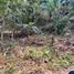  Terreno (Parcela) en venta en Las Cumbres, Ciudad de Panamá, Las Cumbres