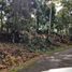  Terreno (Parcela) en venta en Las Cumbres, Ciudad de Panamá, Las Cumbres