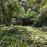  Terreno (Parcela) en venta en Las Cumbres, Ciudad de Panamá, Las Cumbres