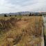  Land for rent in Tepeji Del Rio De Ocampo, Hidalgo, Tepeji Del Rio De Ocampo, Hidalgo
