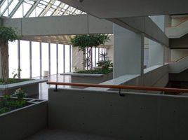 1,004 m² Office for rent in Alvaro Obregon, Ciudad de México, Alvaro Obregon