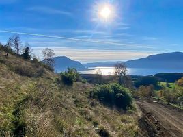  Terreno (Parcela) en venta en Los Ríos, Panguipulli, Valdivia, Los Ríos