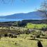  Terreno (Parcela) en venta en Los Ríos, Panguipulli, Valdivia, Los Ríos