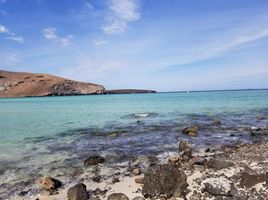 在Baja California Sur出租的 土地, La Paz, Baja California Sur