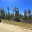  Terreno (Parcela) en venta en Chile, Hualane, Curicó, Maule, Chile