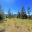  Terreno (Parcela) en venta en Chile, Hualane, Curicó, Maule, Chile