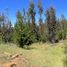  Land for sale in Hualane, Maule, Hualane