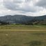  Land for sale in Guarne, Antioquia, Guarne