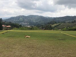  Land for sale in Guarne, Antioquia, Guarne