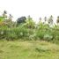  Terrain for sale in Bacong, Negros Oriental, Bacong