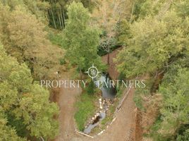  Terreno (Parcela) en venta en Araucanía, Villarrica, Cautín, Araucanía